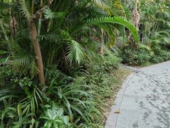 -碧桂园润杨溪谷温泉酒店