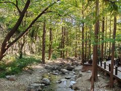 -国家植物园南园