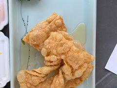 -丁老爷子苏香圆