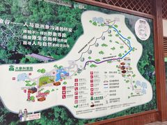 -野象谷景区