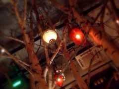 Maan&nbsp;Coffee-MAAN COFFEE(金桥店)