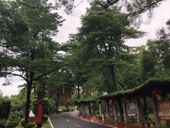 -珠海圆明新园