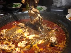 -老天桥蛙炉火锅(姑苏总店)