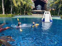 -三亚湾海居铂尔曼度假酒店