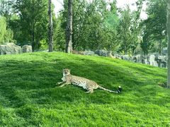 -北京野生动物园