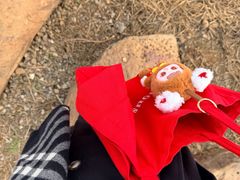 -盘龙城国家考古遗址公园