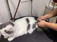 -宠颐生动物医院·小陆分院
