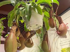 -钱王祠
