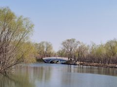 -大兴滨河森林公园