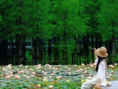 -白鹭湾湿地公园
