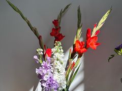 -循礼门鲜花花市(武汉循礼门店)