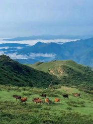 -美肤盾祛痘·问题肌头疗管理中心