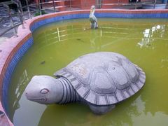 长寿金龟-龙泉岩寺庙群