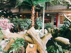 -汾阳金桃园住宿