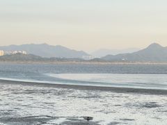 -深圳湾公园(南山区)