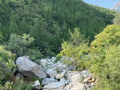 -禅宗少林·音乐大典