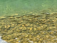 -九曲溪竹筏码头