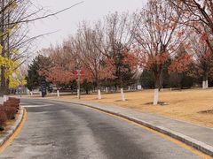 -北京园博大酒店