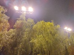 -西安曲江寒窑遗址公园