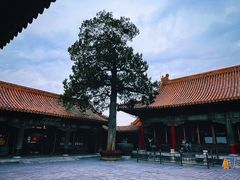 -故宫博物院(故宫)