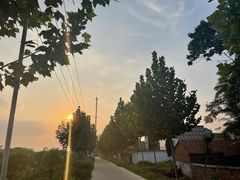 -秋波里爆蛋豆腐虾·清真(开元万达店)