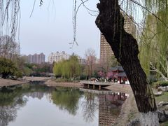 -堤角公园