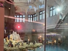 -帝企鹅自助餐厅•儿童岛•真企鹅(长隆企鹅酒店)