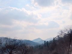 -南京老山国家森林公园