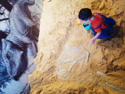 -恐龙探索乐园(磁器口店)