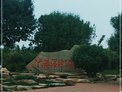 -大港湿地公园