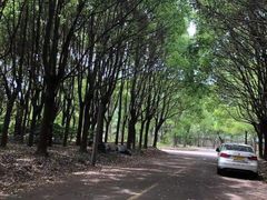 -胜华驾校·小猫学车(银都店)