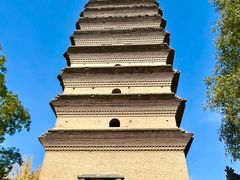 -小杨烤肉(朱雀店)