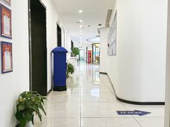 -新航道·雅思托福·Alevel AP·留学考研(光谷校区)