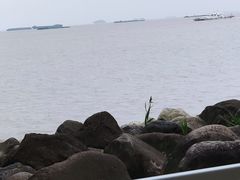 -吴淞炮台湾湿地森林公园烧烤区