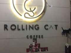 -滚猫咖啡·猫咖·猫友好撸猫(未来城店)
