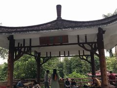 -晓港公园
