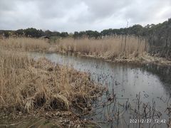 -同里国家湿地公园