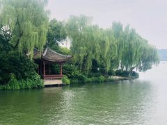 -西湖游船