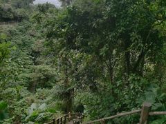 -海口火山口国家地质公园