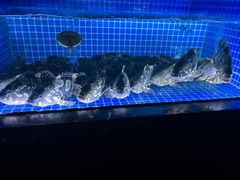 -龙船人海鲜城(长治路店)