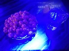 -魅KTV·AI辅唱(福雷德广场店)