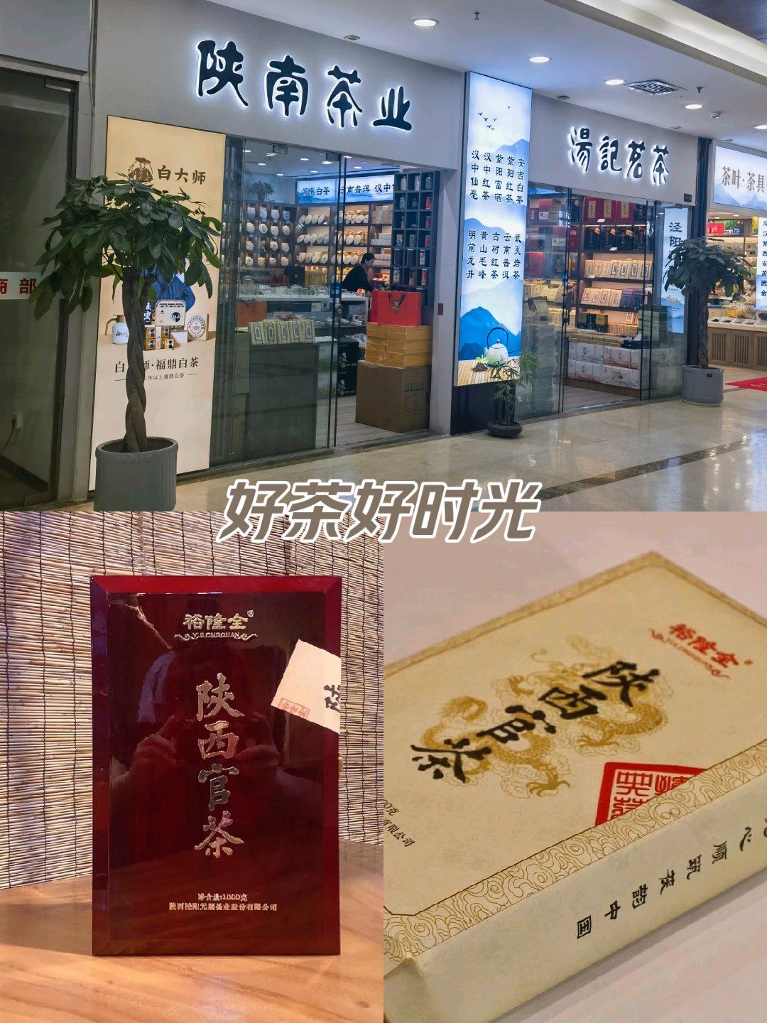 陕西官茶