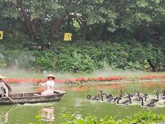 -广州长隆飞鸟乐园