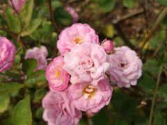 -鉴湖国家城市湿地公园