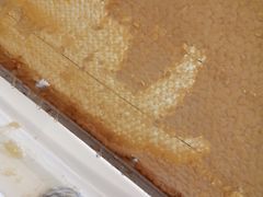 -杭州逸酒店(西湖武林店)