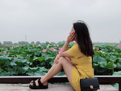 -焦岗湖旅游度假区