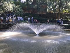 -天台山琼台仙谷景区