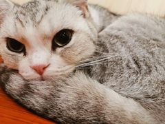 -麦霸KTV(光谷店)