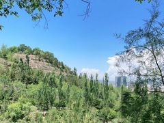 -青藏高原野生动物园