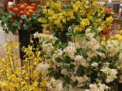 -松雷商业(南岗店)